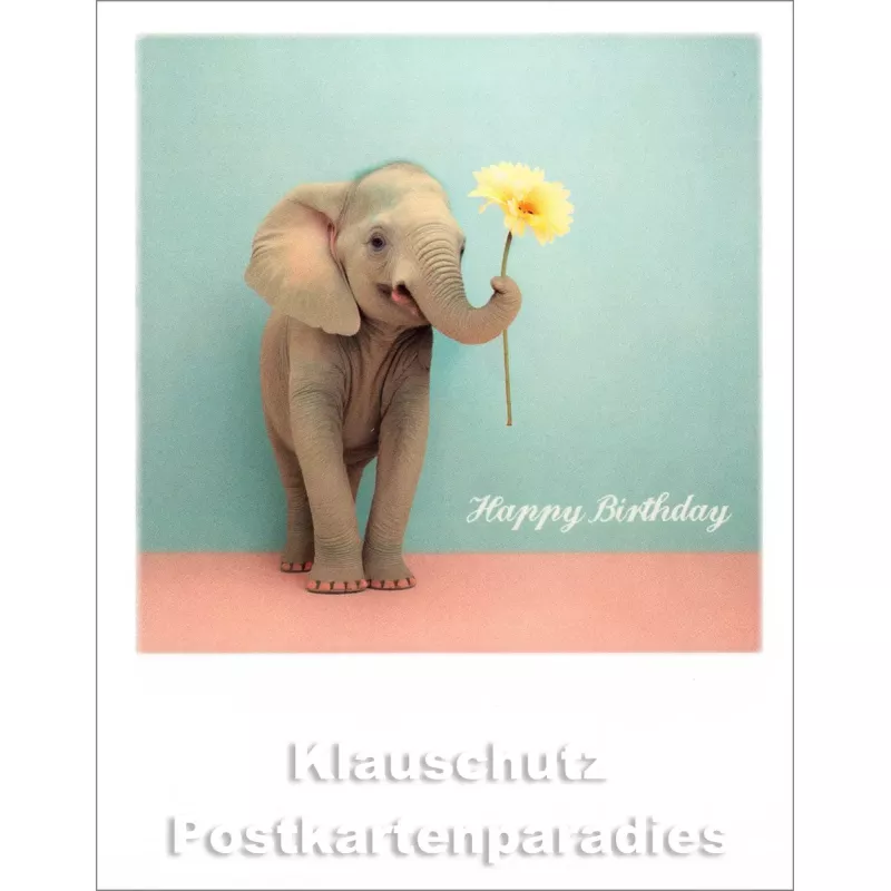 Taurus Polacard | Elefant - Happy Birthday | Postkarte im Look von alten Sofortbildfilmen