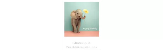 Elefant - Happy Birthday | Taurus Polacards