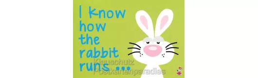 How the rabbit runs - Sprüche Postkarten