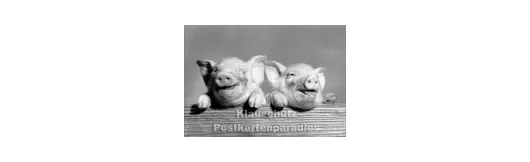 Zwei Schweinchen | Foto Postkarte s/w
