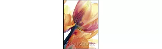 Postkarten Blumen - Tulpen