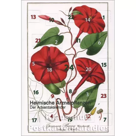 Heimische Arzneipflanzen | Rannenberg Adventskalender Doppelkarte