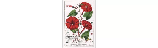 Heimische Arzneipflanzen | Adventskalender Doppelkarte