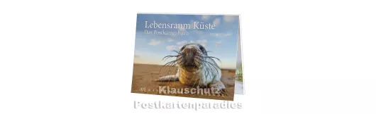 Lebensraum Küste | Rannenberg Postkartenbuch