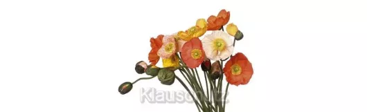 Postkarte Blumen - Mohnstrauß