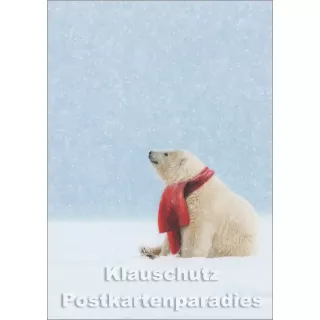 Winterliche Fotokarte von Rannenberg - Eisbär mit rotem Schal