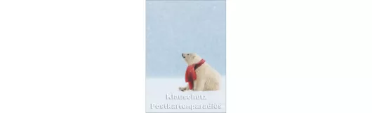 Eisbär mit rotem Schal | Winter Postkarte