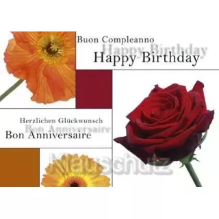 Buon Compleanno Happy Birthday Herzlichen Glückwunsch Bon Anniversaire | Geburtstagskarte Postkarte Geburtstag