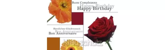 Postkarte - Geburtstag - Birthday - Compleanno