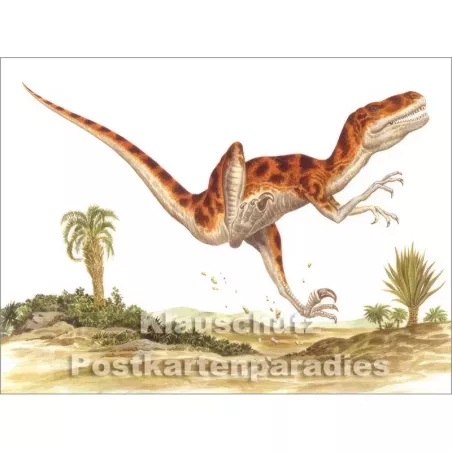 Rannenberg Postkartenbuch - Dinosaurier | Postkarte 4