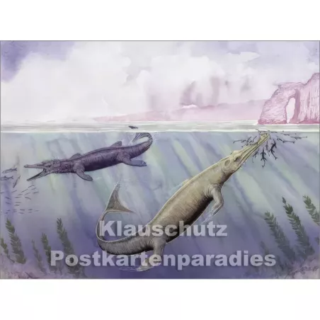 Rannenberg Postkartenbuch - Dinosaurier | Postkarte 5