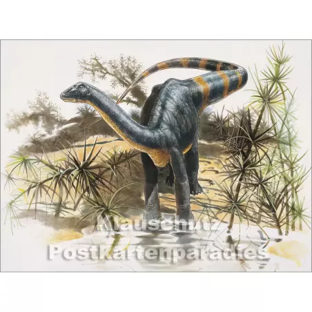 Rannenberg Postkartenbuch - Dinosaurier | Postkarte 6