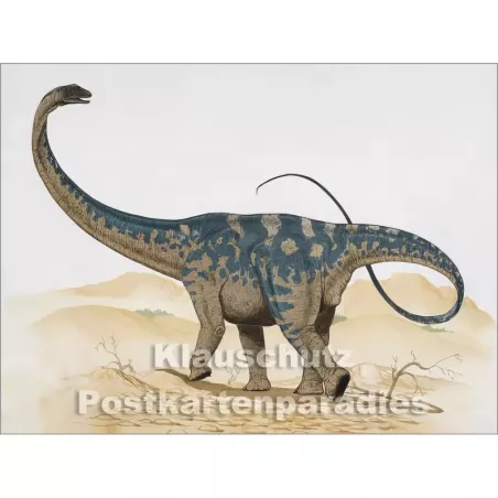 Rannenberg Postkartenbuch - Dinosaurier | Postkarte 8