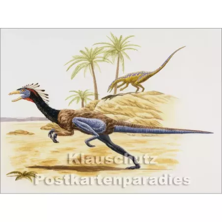 Rannenberg Postkartenbuch - Dinosaurier | Postkarte 9