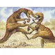 Rannenberg Postkartenbuch - Dinosaurier | Postkarte 11