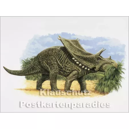 Rannenberg Postkartenbuch - Dinosaurier | Postkarte 12