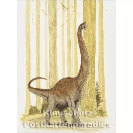 Rannenberg Postkartenbuch - Dinosaurier | Postkarte 14