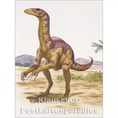 Rannenberg Postkartenbuch - Dinosaurier | Postkarte 15