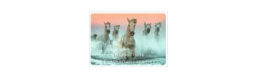 Pferde aus der Camargue - Fotokarte