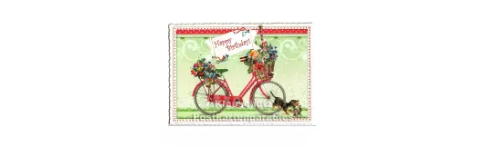 Birthday Fahrrad - Edition Tausendschön Postkarte