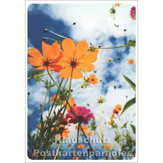 Schöne SkoKo Blumen Postkarte | Blumenwiese