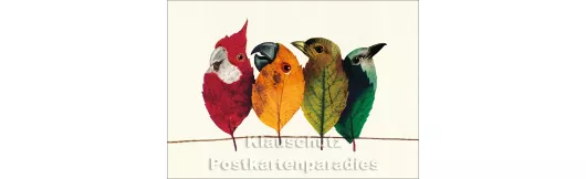 Birds on the Wire | Inkognito Postkarte