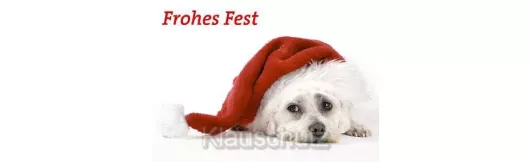 Postkarte - Frohes Fest - Hund