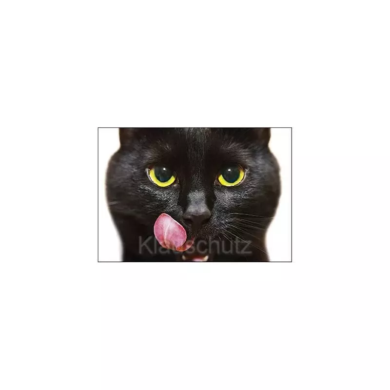 Fotokarte Postkarte: Schöne schwarze Katze mit leuchtenden Augen