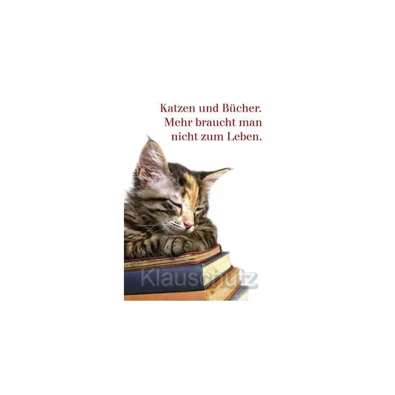 Katzen und Bücher. Mehr braucht man nicht zum Leben. Postkarte