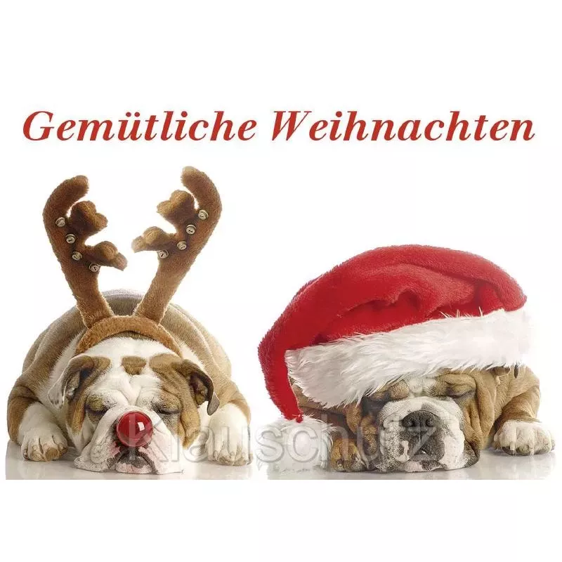 Gemütliche Weihnachten - schlafende Hunde - Postkarte Weihnachtskarte vom Postkartenparadies