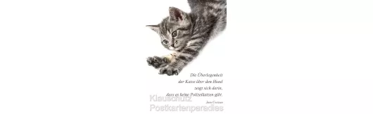 Cocteau Polizeikatzen | Postkarten