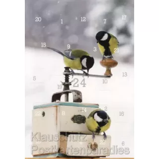 Vögel im Winter Kalender Adventskalender Doppelkarte
