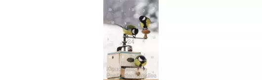 Vögel im Winter Adventskalender