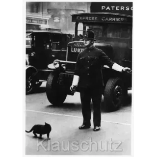 schwarz-weiß (s/w) Foto Postkarte Katze hat Vorfahrt 