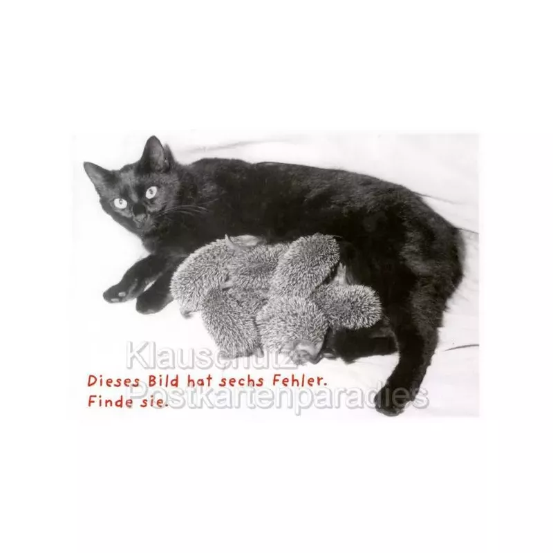 Postkarte Katzen Sprüche - Dieses Bild hat sechs Fehler. Finde sie. 