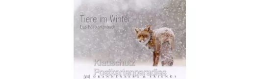 Postkartenbuch - Tiere im Winter