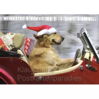 Lustige SkoKo Postkarte: Weihnachten kommt immer so tierisch schnell. 
