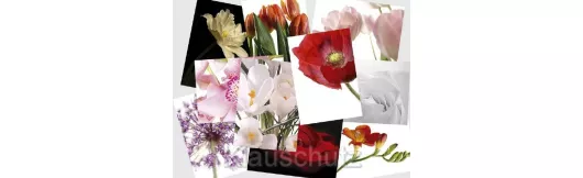 10 Blumen Postkarten vom Postkartenparadies zum Supersparpreis