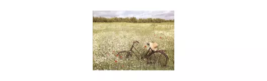 Fahrräder Postkartenbuch mit 15 Karten| Rannenberg Postkartenbücher
