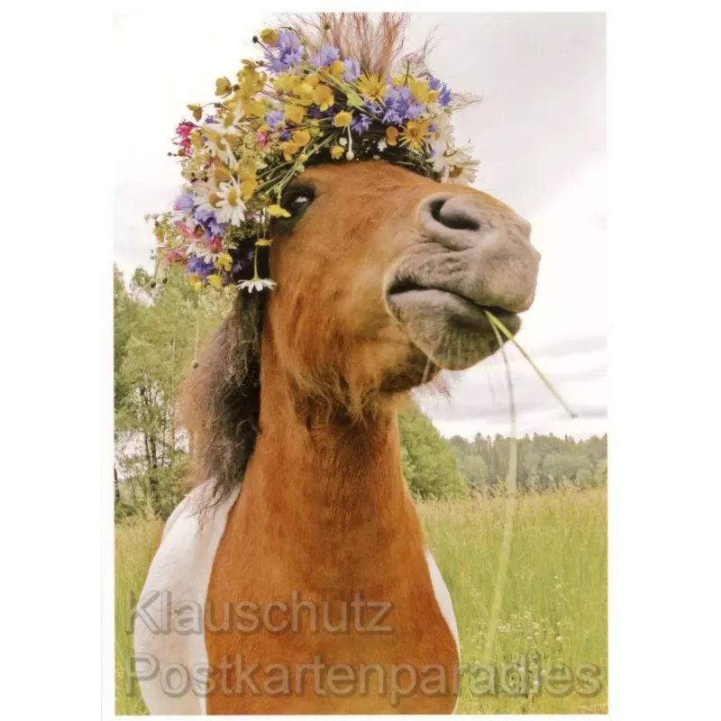 Tier Postkarte von Rannenberg - Pferd mit Blütenkranz