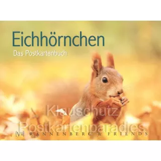 Postkartenbücher von Rannenberg | Eichhörnchen