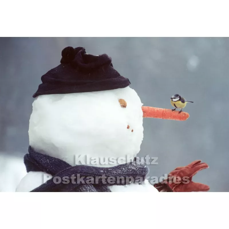 Schneemann mit Meise | Winter Weihnachtskarte