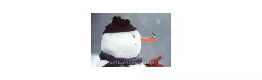 Schneemann mit Meise | Weihnachtskarte