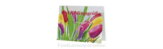 Frühlingsgrüße - Postkartenbuch mit Blumen