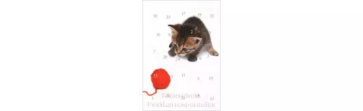 Kätzchen - Adventskalender Doppelkarte