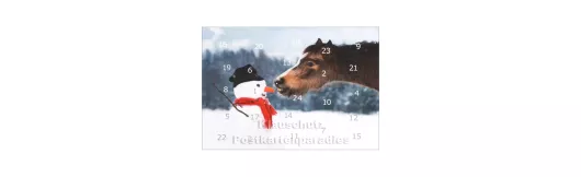 Pferde im Schnee - Adventskalender