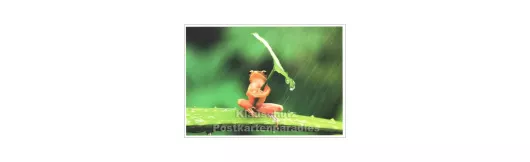 Wetterfrosch - Tier Postkarte
