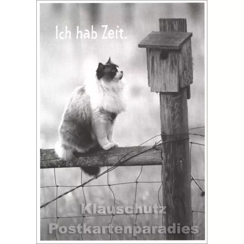 Fotokarte Katze - Ich hab Zeit