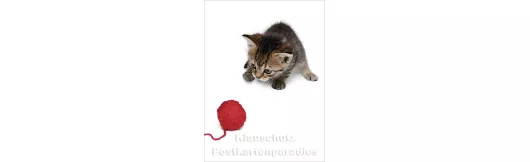 Postkartenbuch | Kätzchen