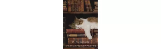 Postkarte | Katze im Bücherregal